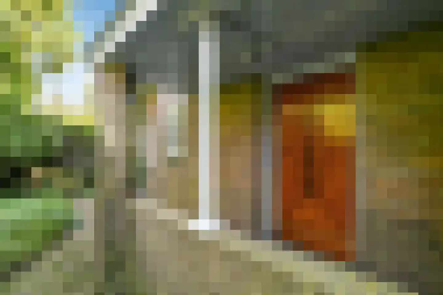 Zijpendaalseweg 131 Arnhem thumbnail 8