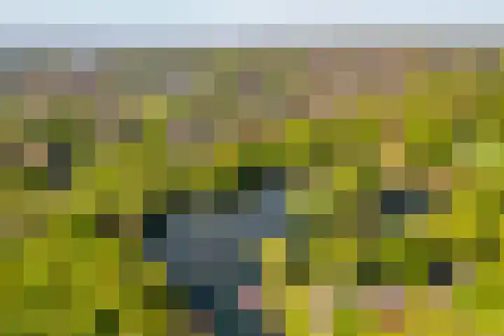 Zijpendaalseweg 139 Arnhem thumbnail 10
