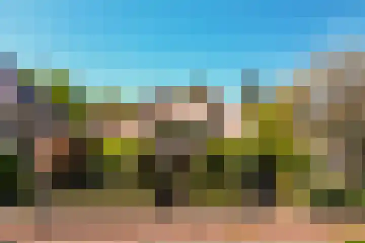 Zijpendaalseweg 139 Arnhem thumbnail 11