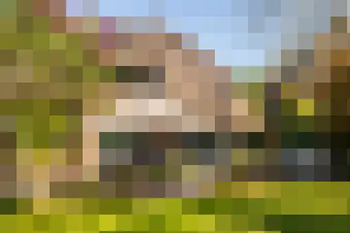 Zijpendaalseweg 139 Arnhem thumbnail 4