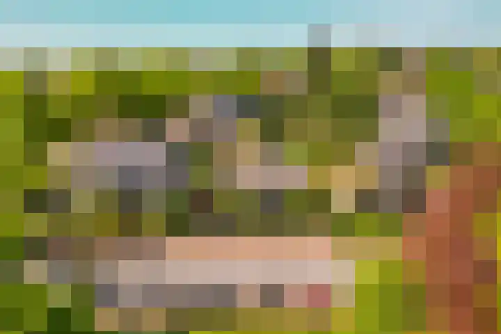 Zijpendaalseweg 139 Arnhem thumbnail 5