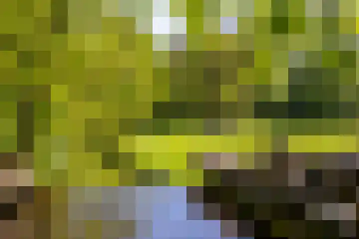 Zijpendaalseweg 139 Arnhem thumbnail 7