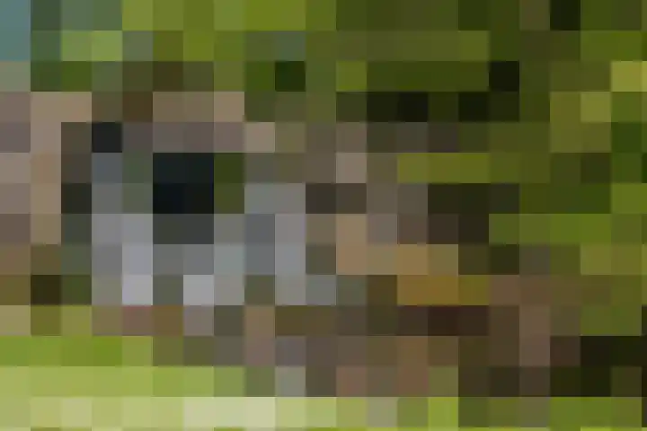 Zijpendaalseweg 139 Arnhem thumbnail 8