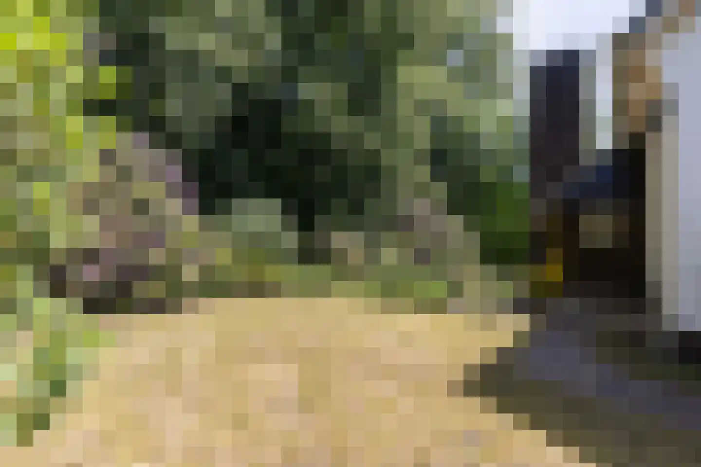 Zijpendaalseweg 159 Arnhem thumbnail 30