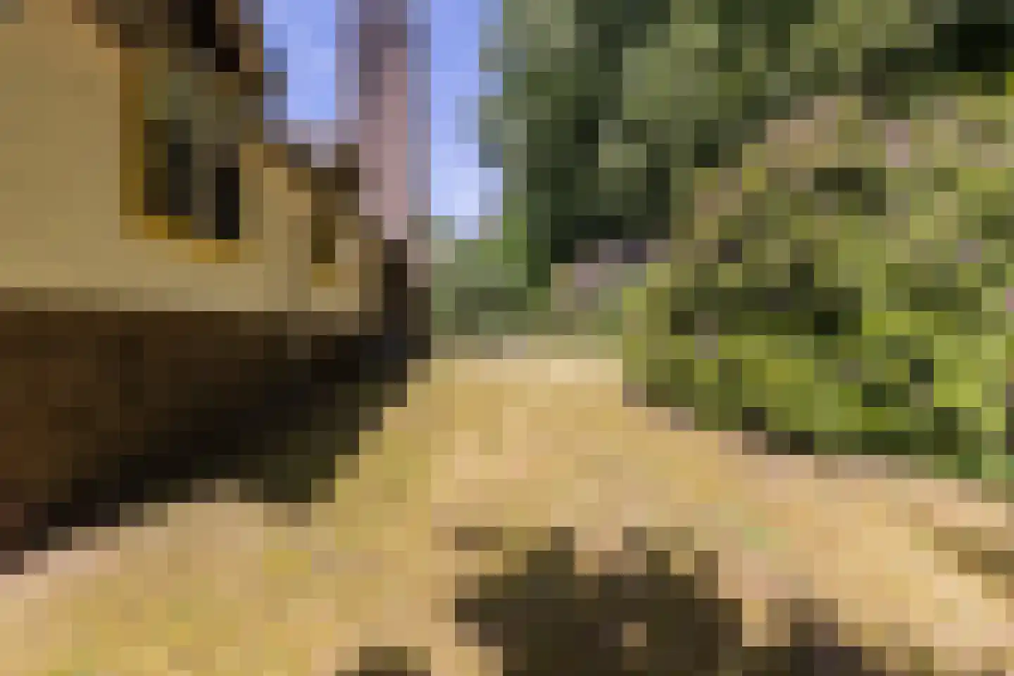 Zijpendaalseweg 159 Arnhem thumbnail 31