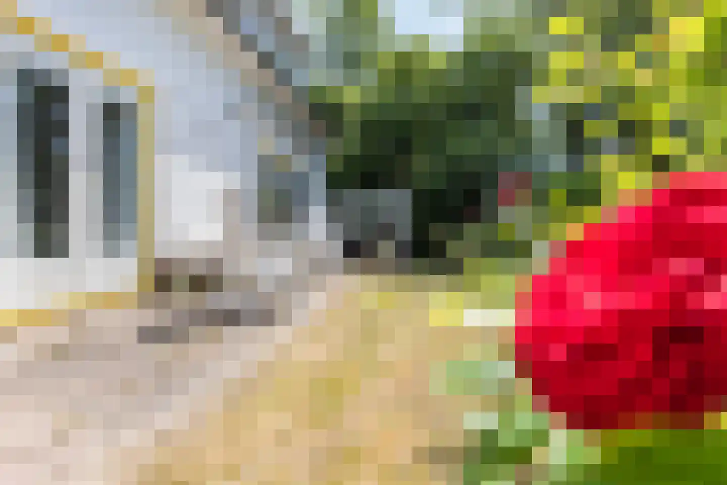 Zijpendaalseweg 159 Arnhem thumbnail 32