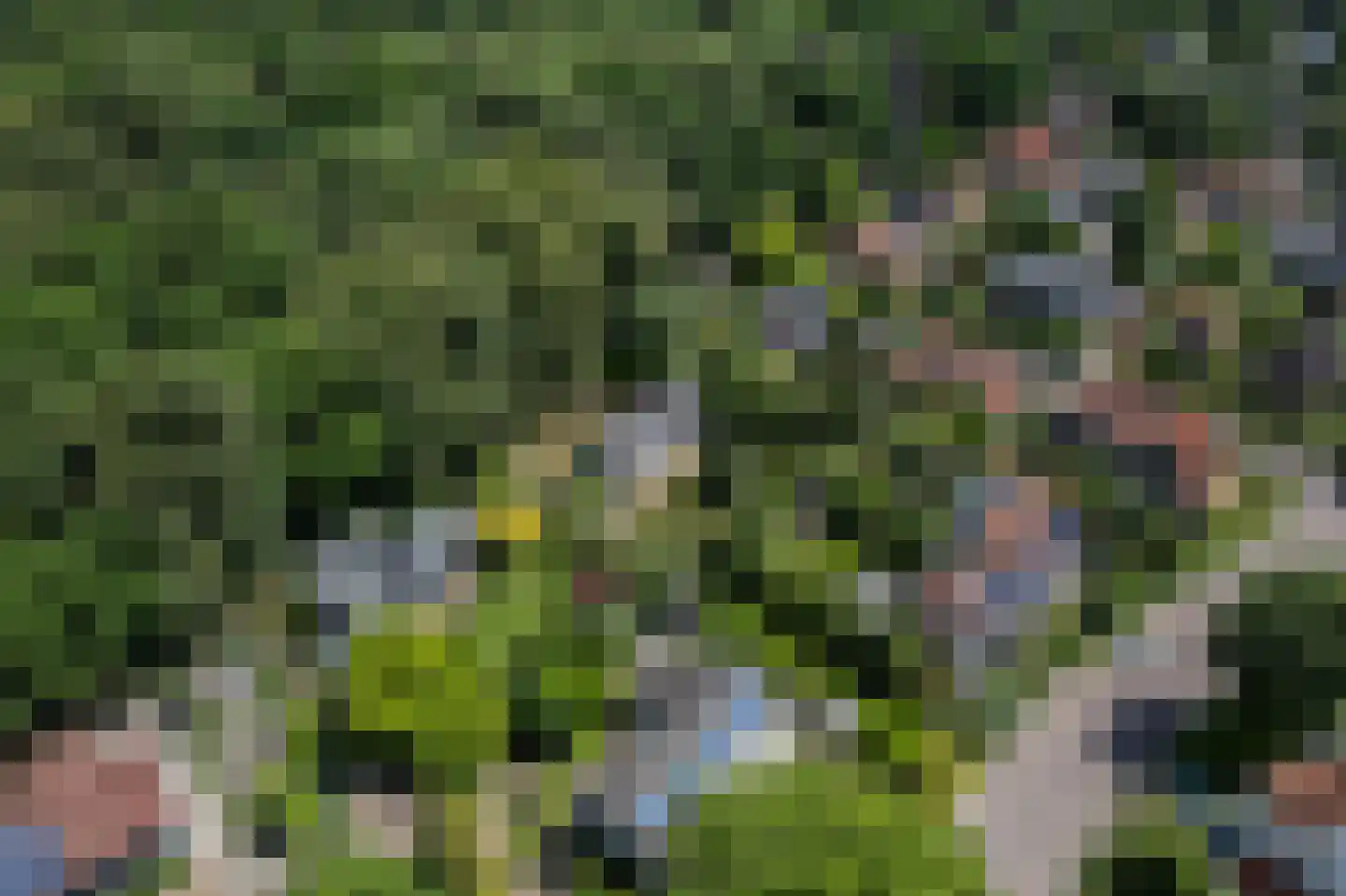 Zijpendaalseweg 159 Arnhem thumbnail 33
