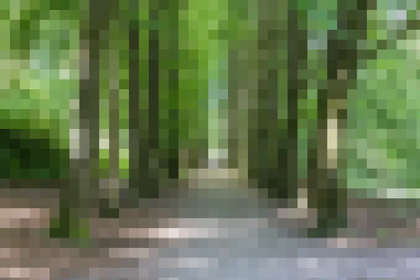 Zijpendaalseweg 159 Arnhem thumbnail 35