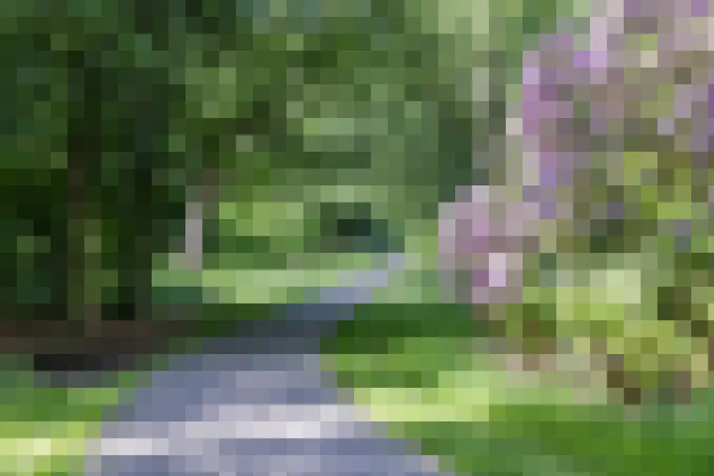 Zijpendaalseweg 159 Arnhem thumbnail 36