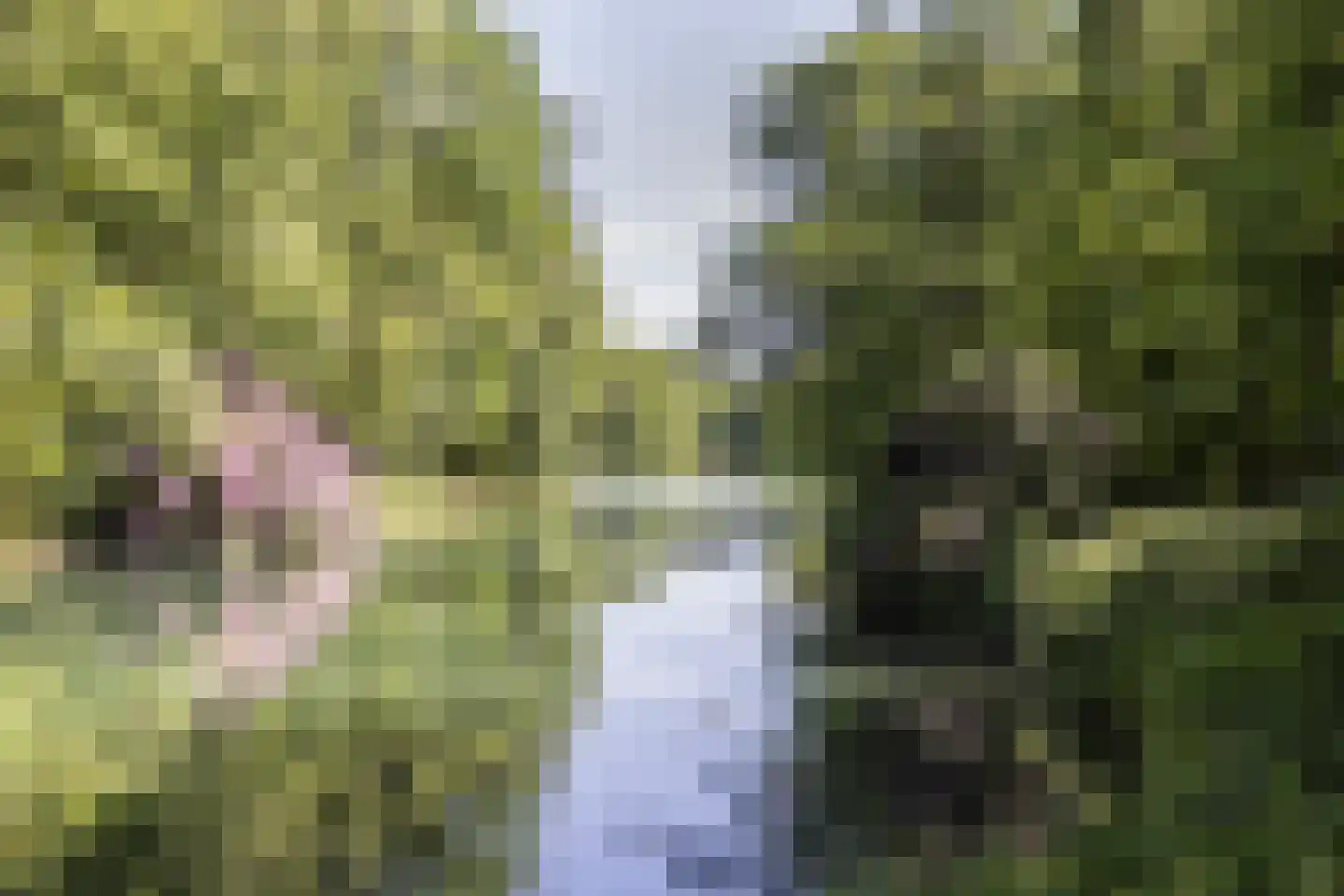 Zijpendaalseweg 159 Arnhem thumbnail 37