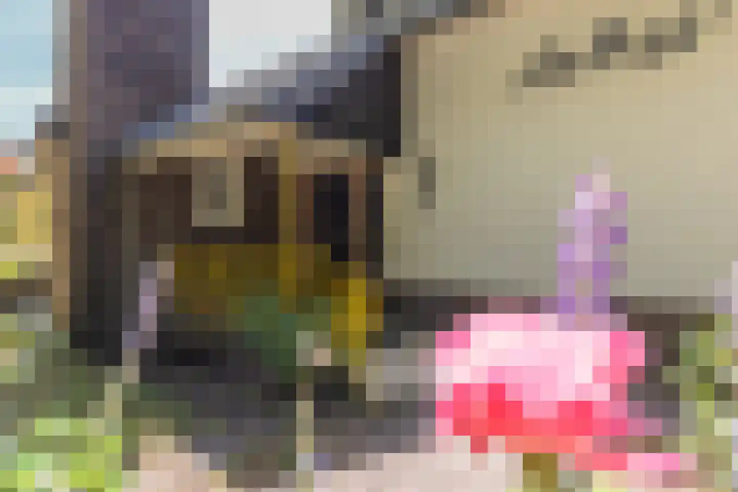 Zijpendaalseweg 159 Arnhem thumbnail 6