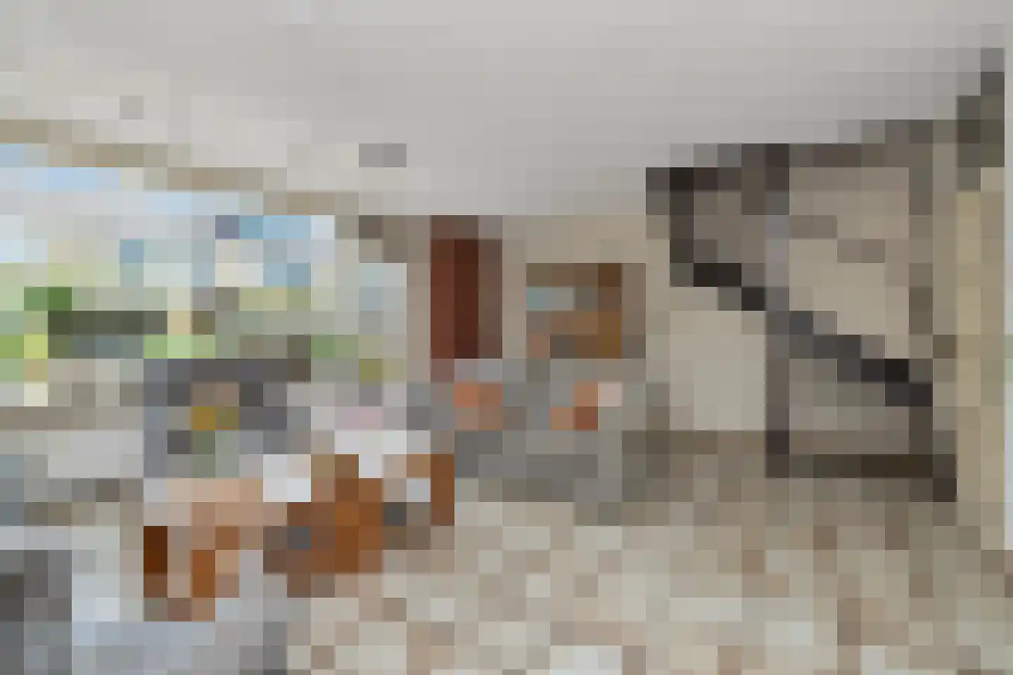 Zijperlaan 21 Anna Paulowna thumbnail 10