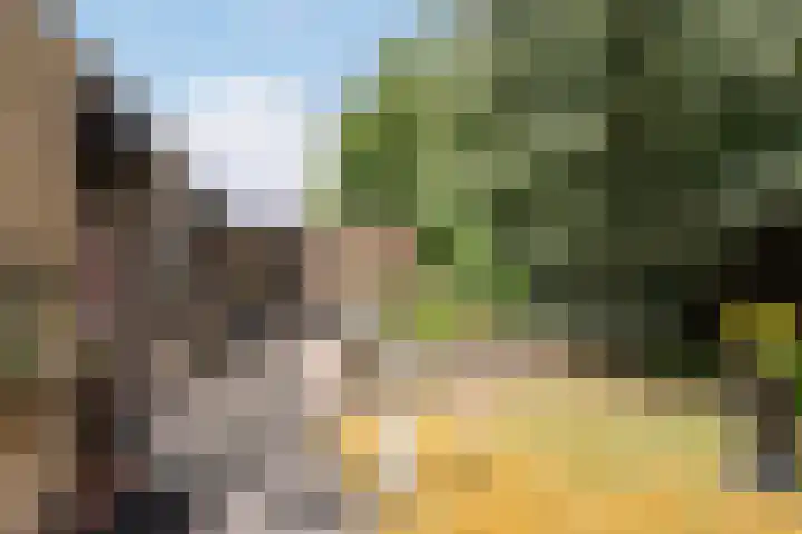 Zijpestraat 11 Sint Philipsland thumbnail 4