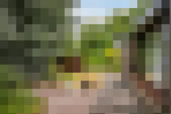Zijpestraat 11 Sint Philipsland thumbnail 42