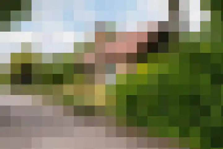 Zijpestraat 11 Sint Philipsland thumbnail 50
