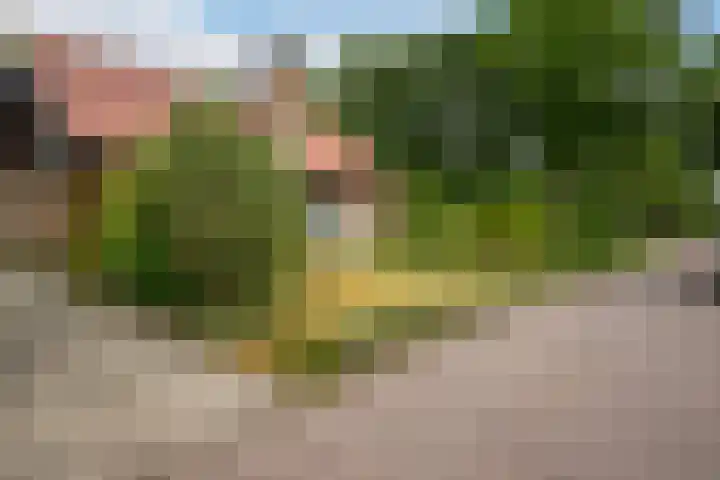 Zijpestraat 11 Sint Philipsland thumbnail 51