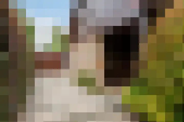 Zijpestraat 11 Sint Philipsland thumbnail 7