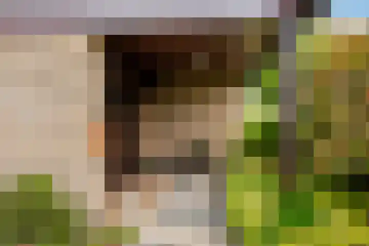 Zijpestraat 11 Sint Philipsland thumbnail 8