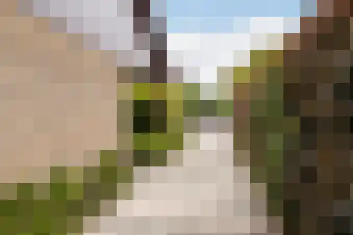 Zijpestraat 11 Sint Philipsland thumbnail 9
