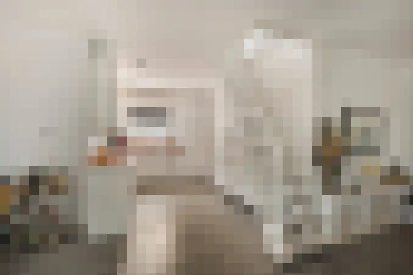 Zijplaan 10 Numansdorp thumbnail 11
