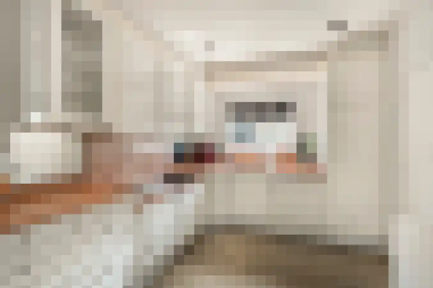 Zijplaan 10 Numansdorp thumbnail 12