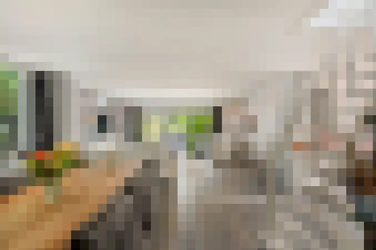 Zijplaan 10 Numansdorp thumbnail 15