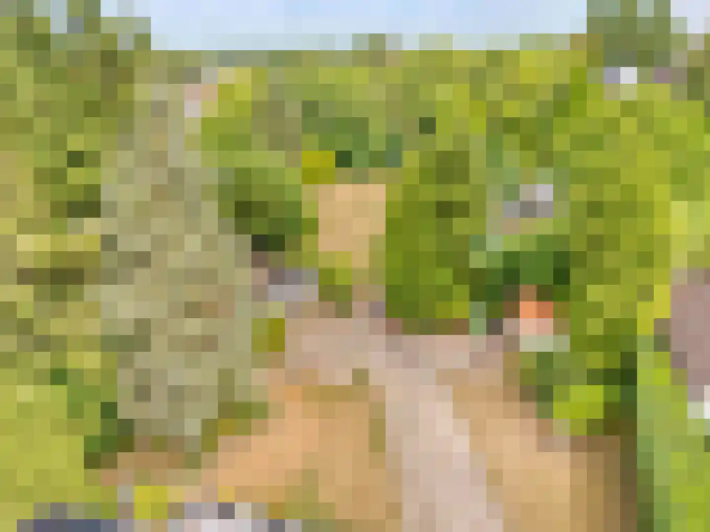 Zijplaan 10 Numansdorp thumbnail 18