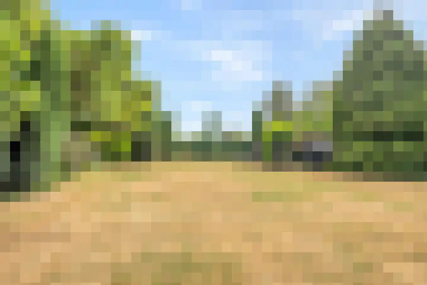 Zijplaan 10 Numansdorp thumbnail 31