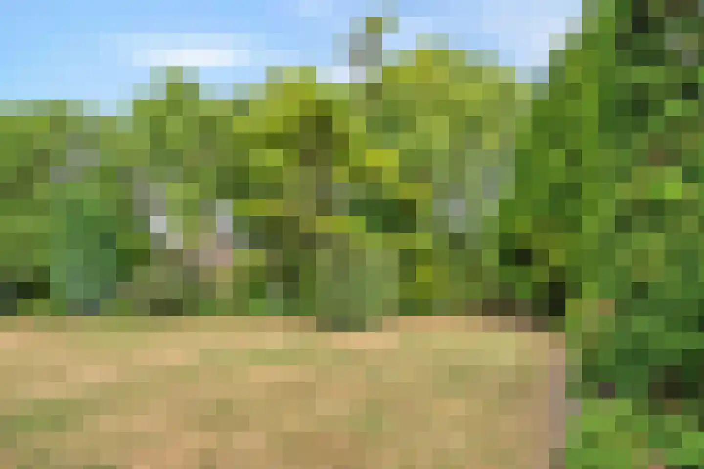 Zijplaan 10 Numansdorp thumbnail 32