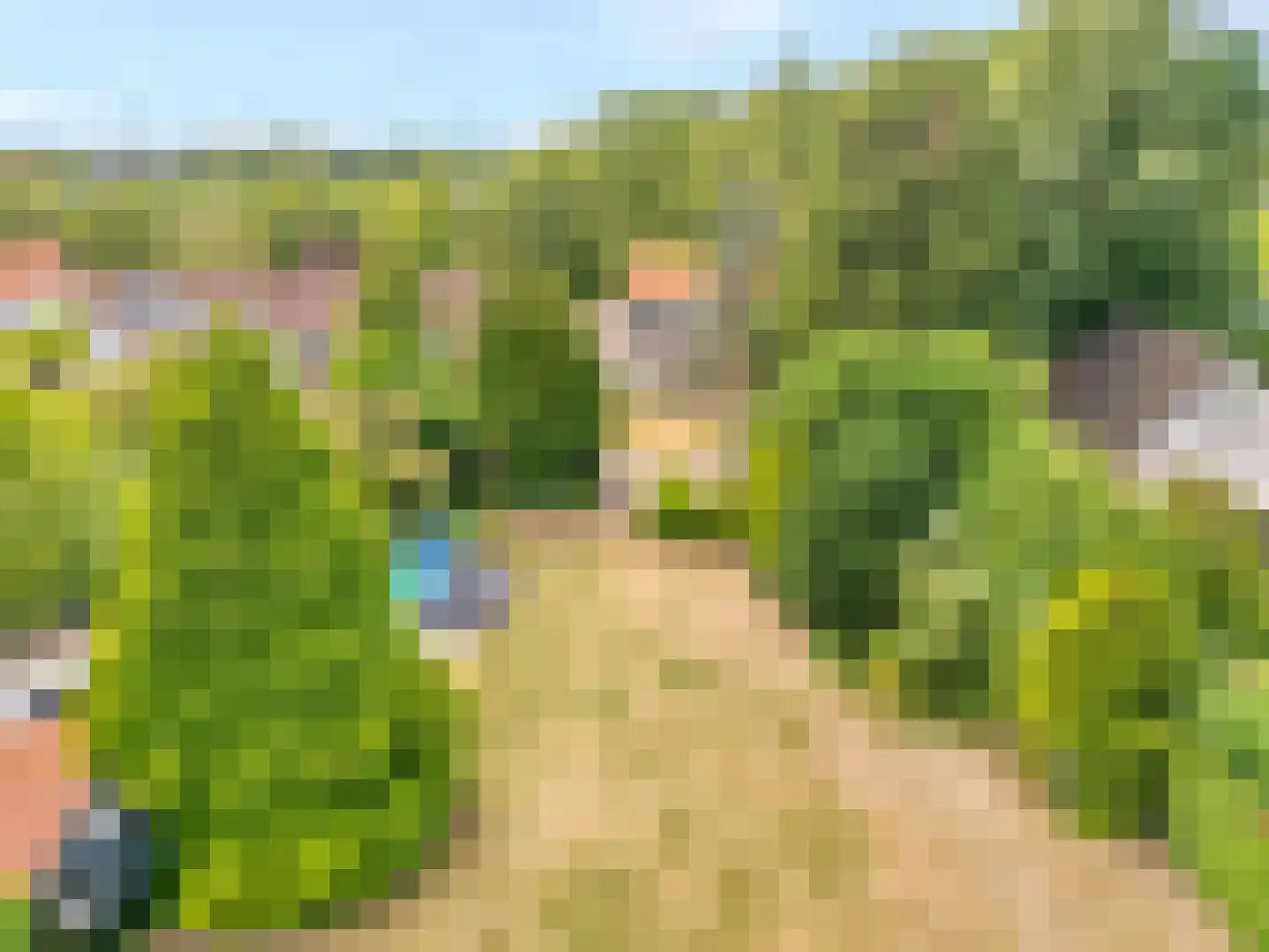 Zijplaan 10 Numansdorp thumbnail 34