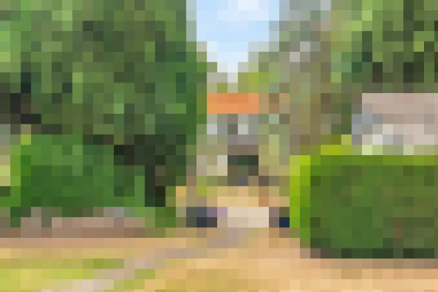 Zijplaan 10 Numansdorp thumbnail 35