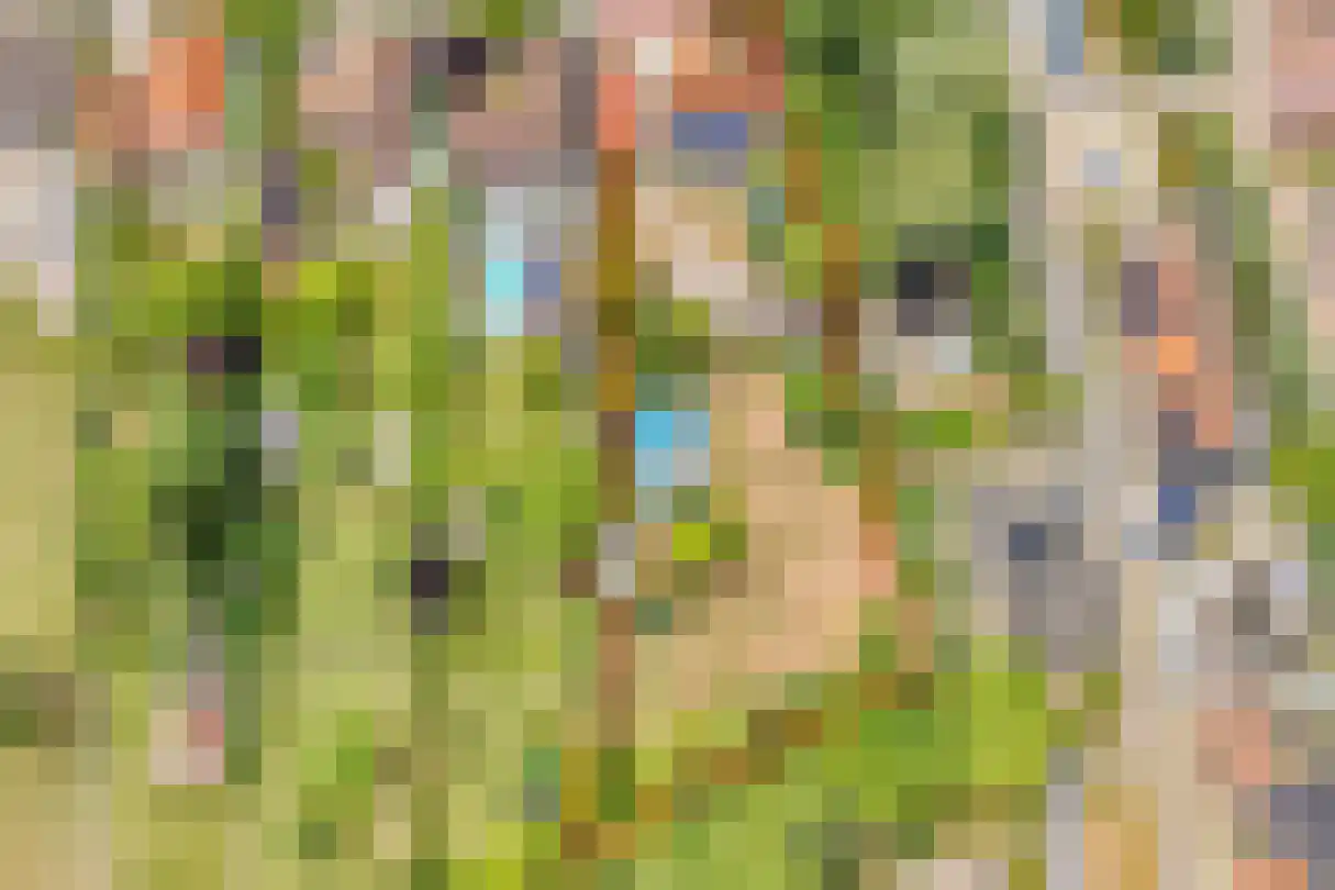 Zijplaan 10 Numansdorp thumbnail 4