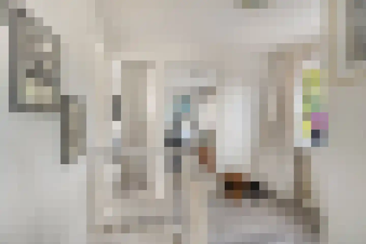 Zijplaan 10 Numansdorp thumbnail 42