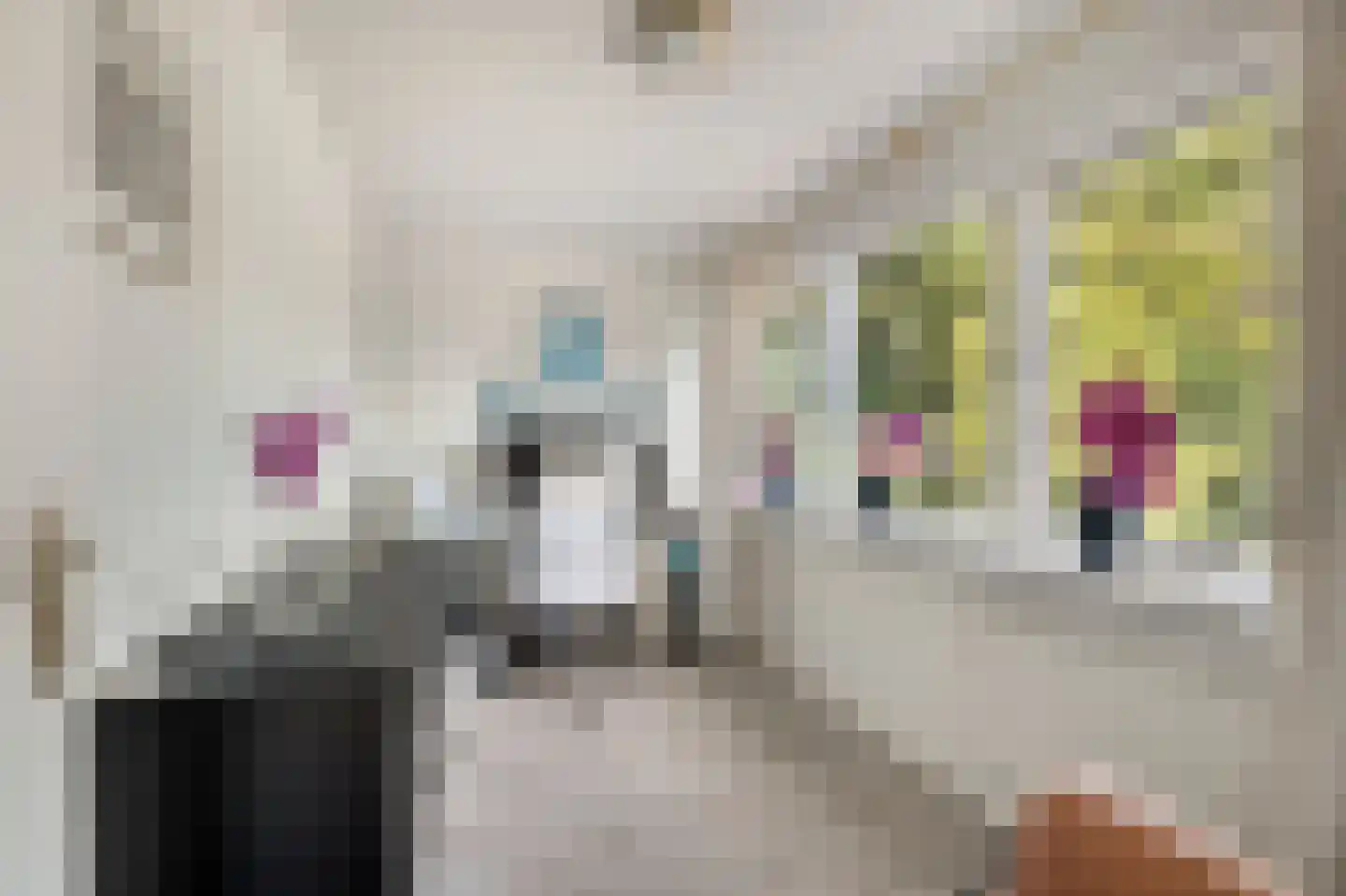 Zijplaan 10 Numansdorp thumbnail 46
