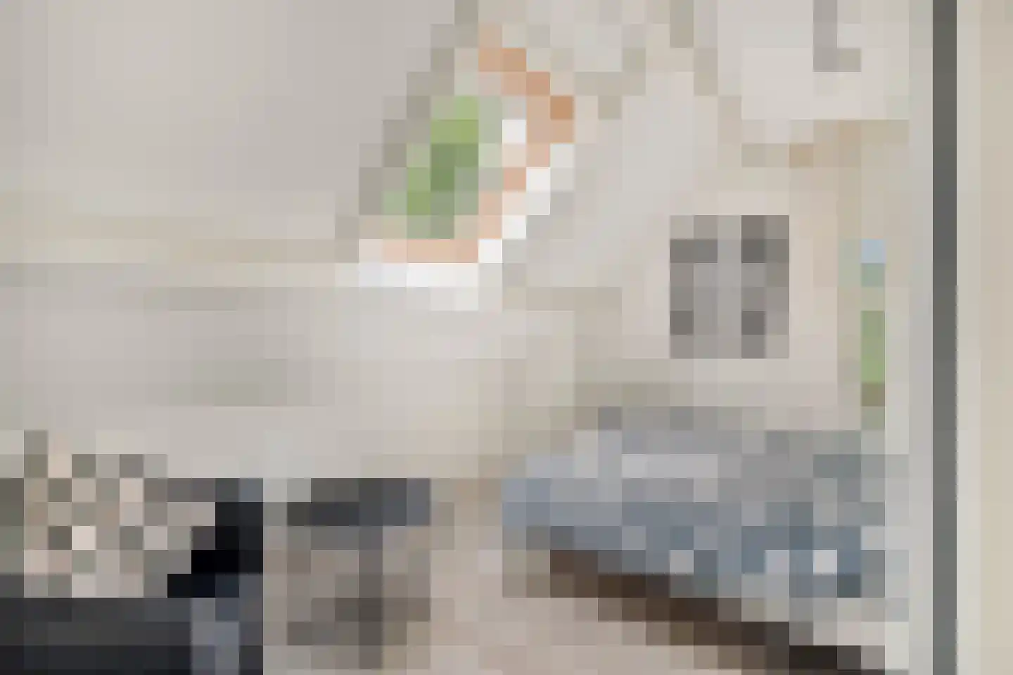 Zijplaan 10 Numansdorp thumbnail 48