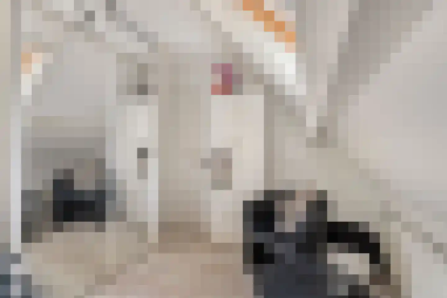 Zijplaan 10 Numansdorp thumbnail 49