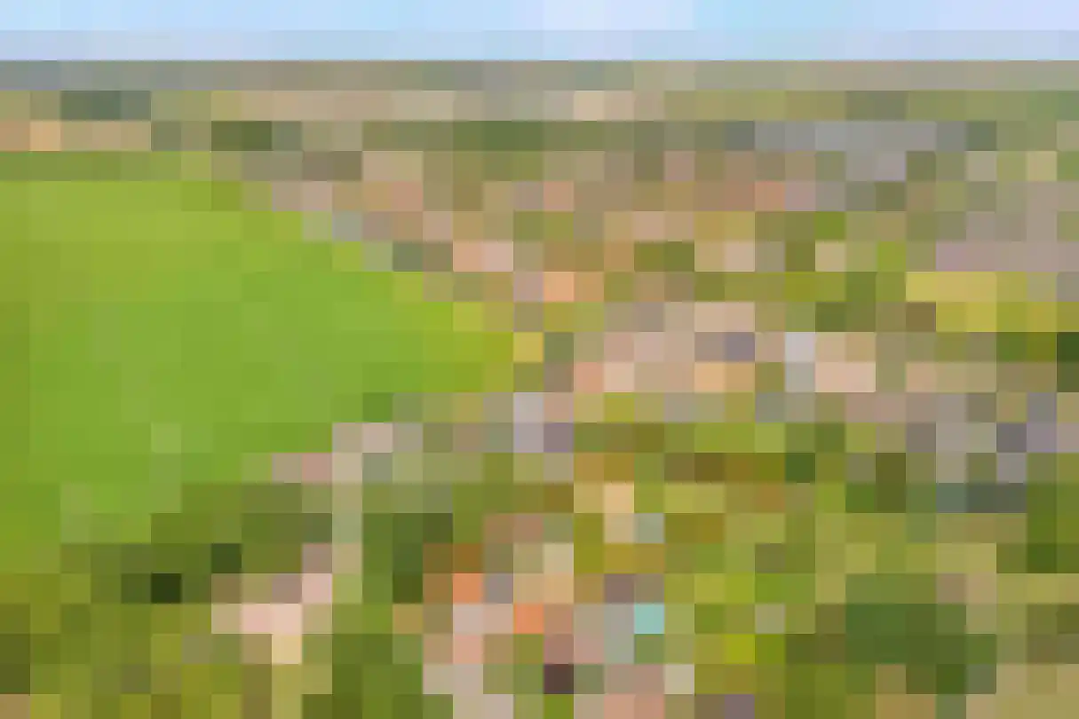 Zijplaan 10 Numansdorp thumbnail 52