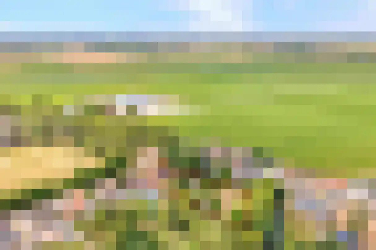 Zijplaan 10 Numansdorp thumbnail 53