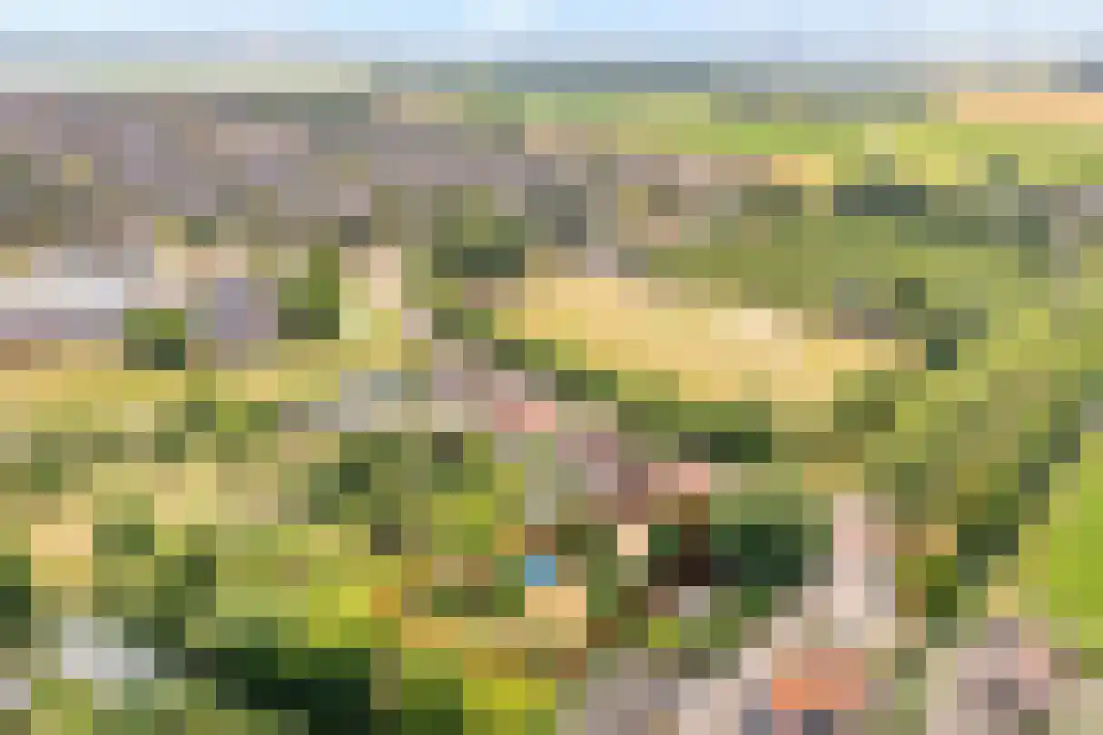 Zijplaan 10 Numansdorp thumbnail 54