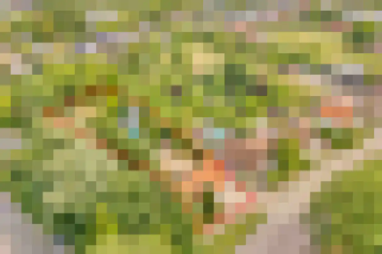 Zijplaan 10 Numansdorp thumbnail 55