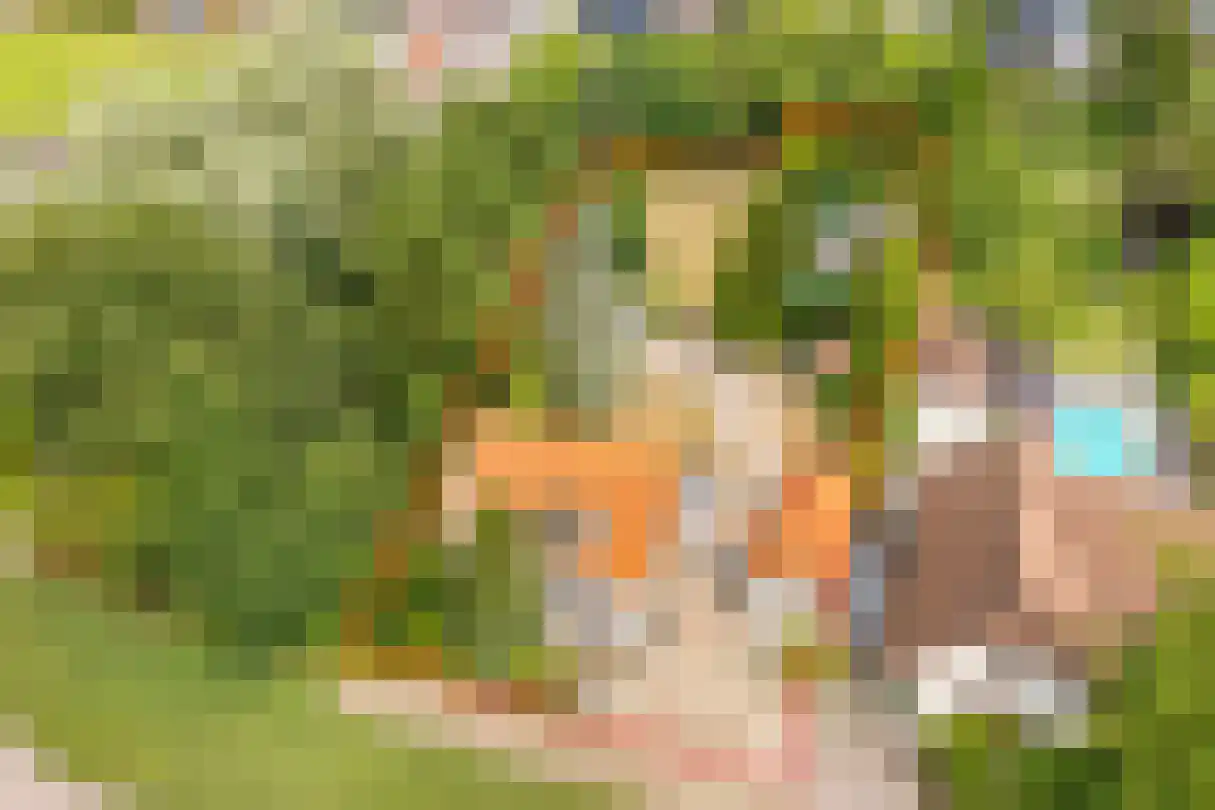 Zijplaan 10 Numansdorp thumbnail 56