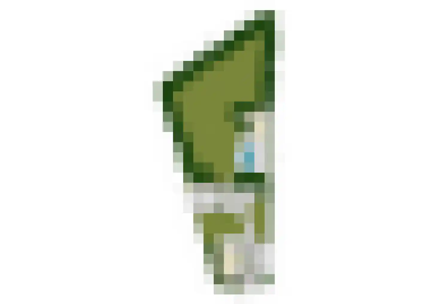 Zijplaan 10 Numansdorp thumbnail 60