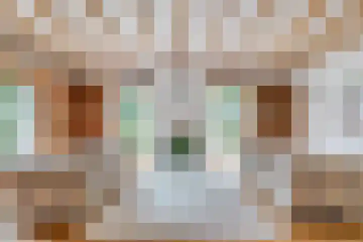Zijstraat 28 De Moer thumbnail 12