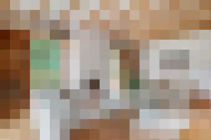 Zijstraat 28 De Moer thumbnail 16