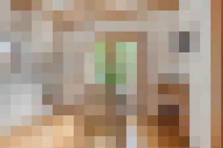 Zijstraat 28 De Moer thumbnail 19