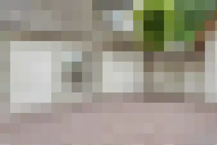 Zijstraat 28 De Moer thumbnail 34