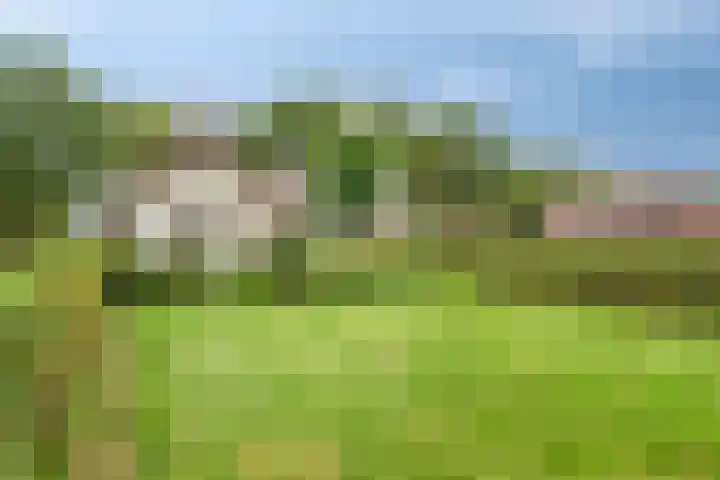 Zijstraat 28 De Moer thumbnail 35