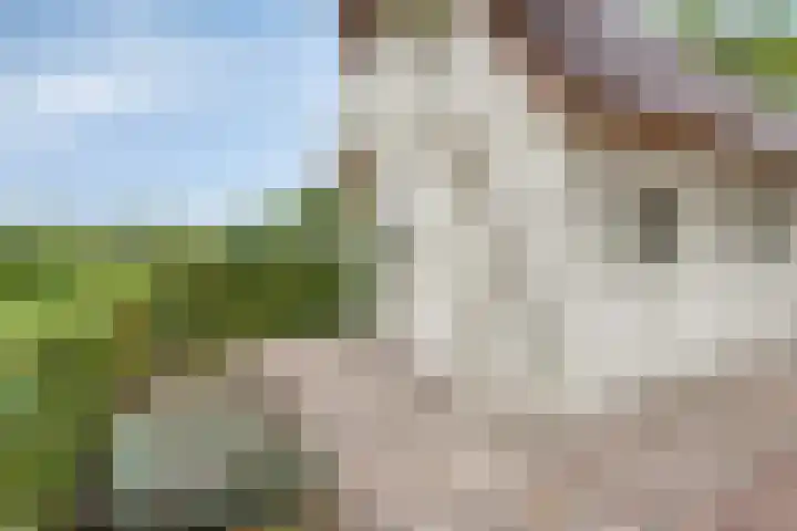 Zijstraat 28 De Moer thumbnail 36