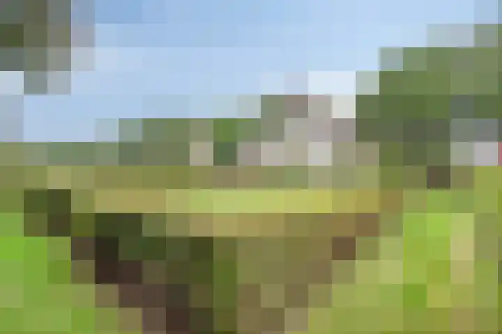Zijstraat 28 De Moer thumbnail 38