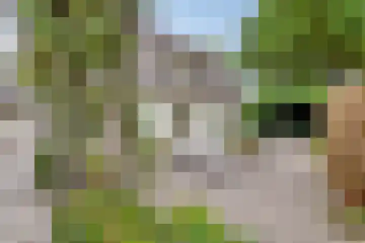Zijstraat 28 De Moer thumbnail 40